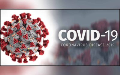 Nëntë raste me COVID-19, 12 të shëruar, asnjë i vdekur