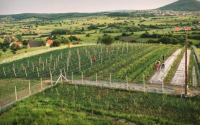 Fshatrat, dikur përplot, sot të shkretëruara