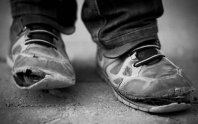 OJQ-të me vullnetarët e tyre luftojnë varfërinë me aftësim për punë