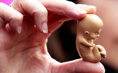 Aborti i vullnetshëm, “vrasje për një jetë të re”