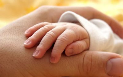 Moszgjidhja e statusit të tyre, lë shumë fëmijë të braktisur pa u adoptuar