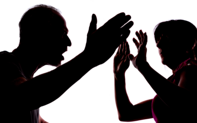 Mosvetëdijësimi se për dhunën ndaj femrave në familje nuk ka arsyetim!