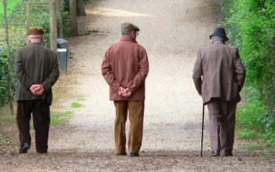 Shtëpitë që bëhen strehë për përballimin e vetmisë së pleqnisë