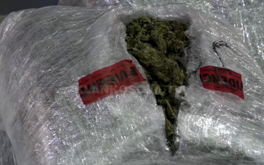 Arrestohet i kërkuari në rastin e konfiskimit të mbi 90 kg marihuanë