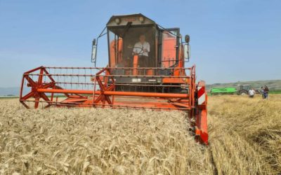 Kurti: Fermeri i Kosovës, sot është më i përkrahuri në rajon