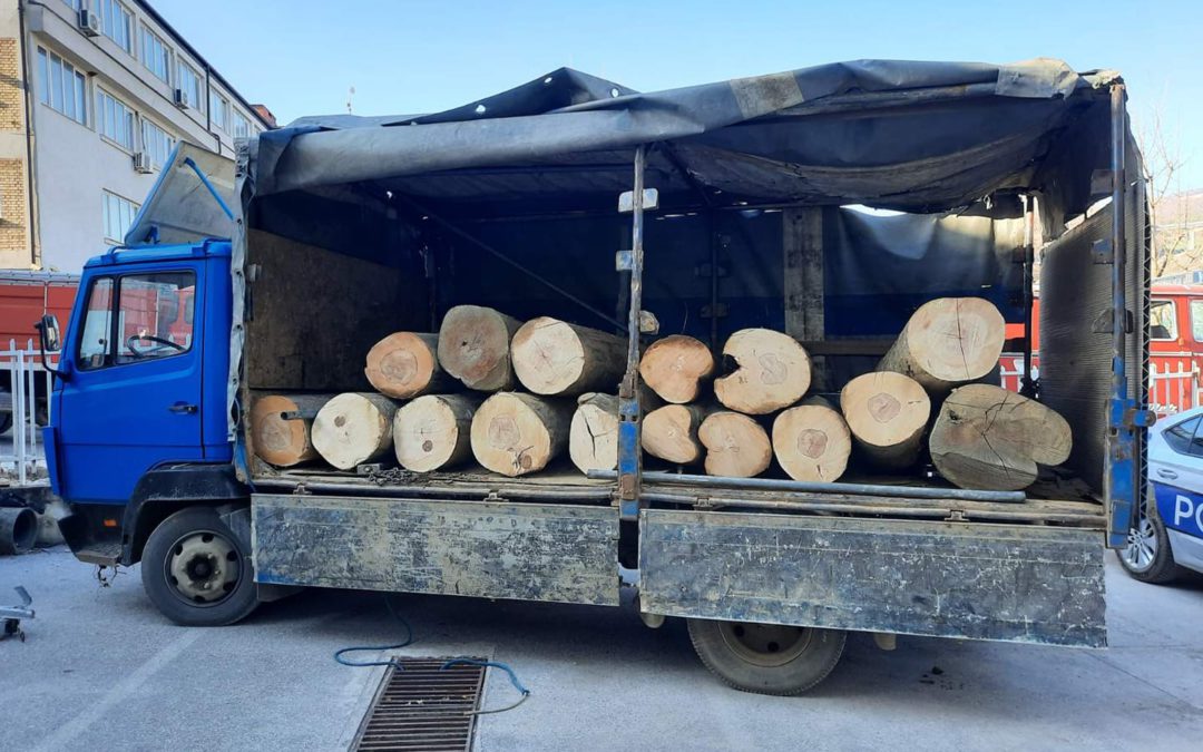 Policia: Ndalohen dy persona për prerjen e pyjeve, transportin dhe shitjen ilegale të drunjëve