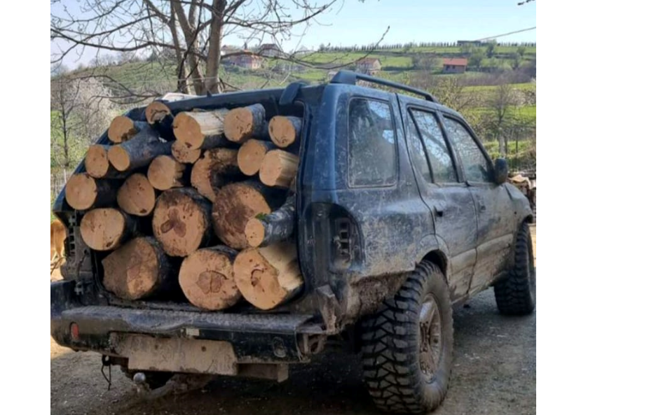 Policia ndalon një person i cili transportonte drunjë ilegalisht nga Parku Kombëtar Malet e Sharrit