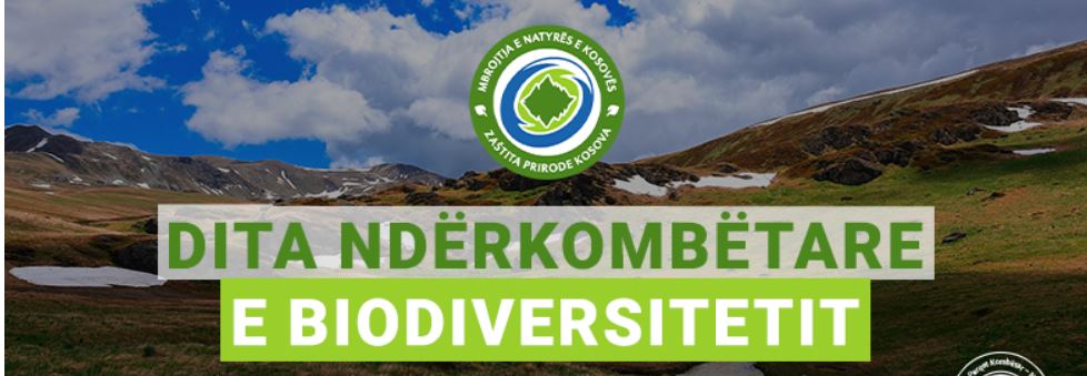 Parqet Kombëtare, vlerë e rrallë e trashëgimisë natyrore të Kosovës