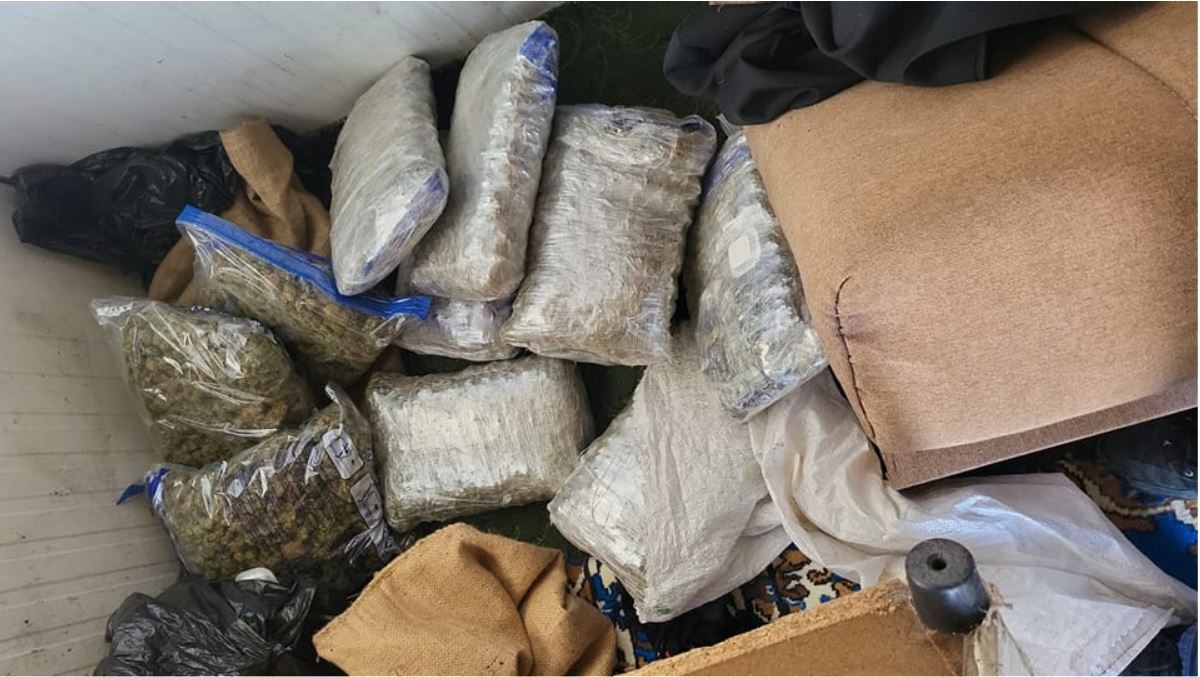 Operacioni policor “Guri”, arrestohen gjashtë persona dhe sekuestrohen mbi 12 kg marihuanë