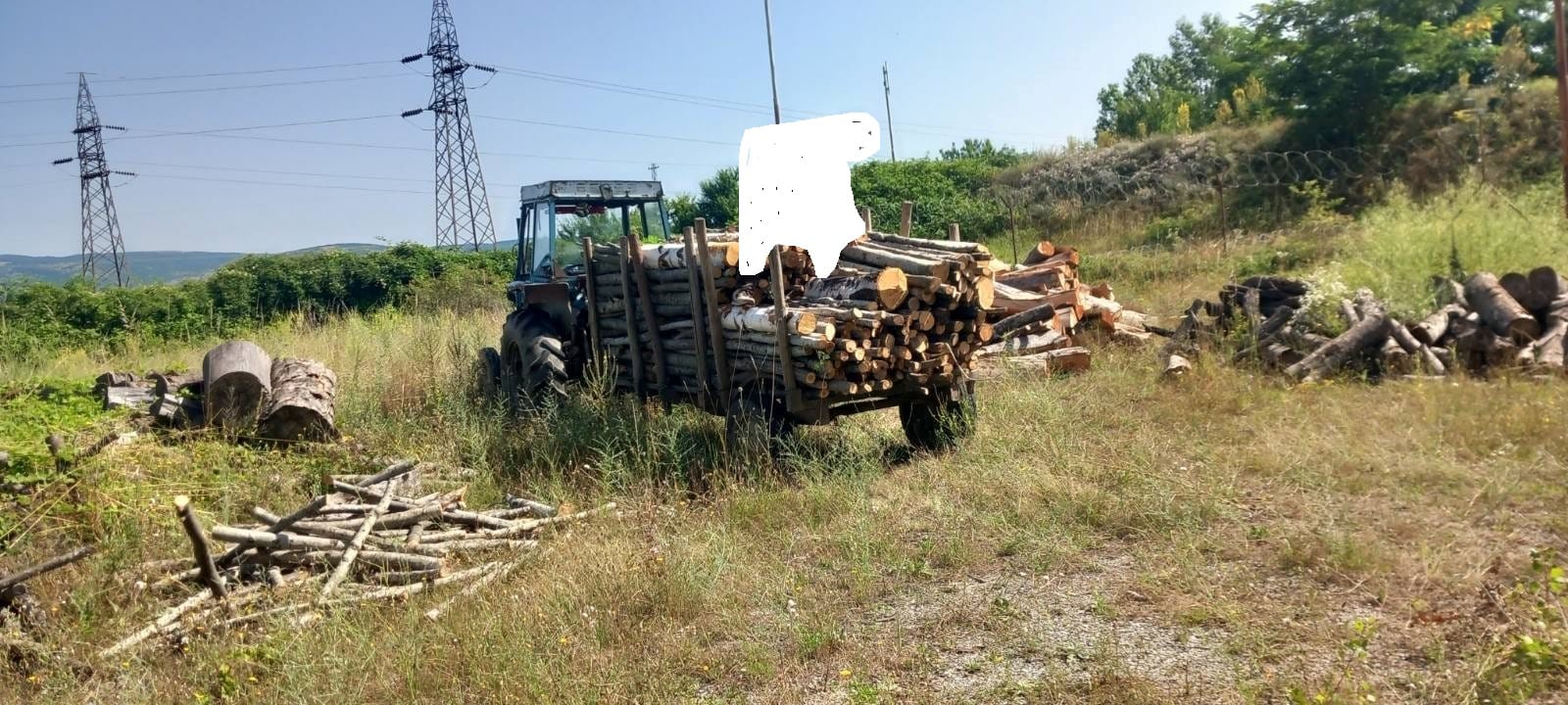 Arrestohen dy persona për prerje ilegale të pyllit dhe sekuestrohen dru